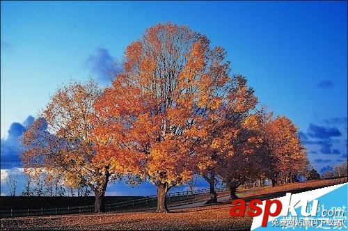 ps通道摳圖實例 把天空換掉 ps,通道,摳圖