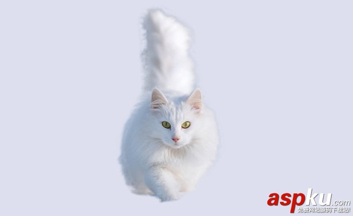 貓,快速蒙版,調整邊緣