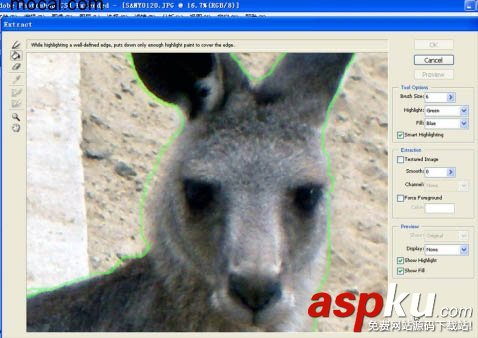 CS4,濾鏡,抽出,摳圖