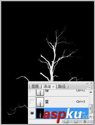 Photoshop,摳圖