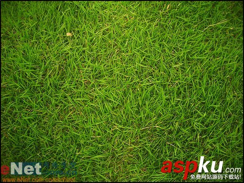 Photoshop字體特效:毛茸茸的綠草字 Photoshop,字體特效