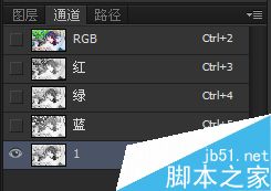 photoshop通道扣取復雜人像 photoshop,通道