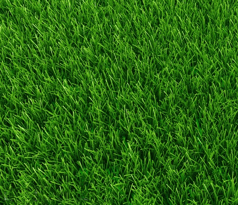 PS的去水印方法(四):仿制圖章工具