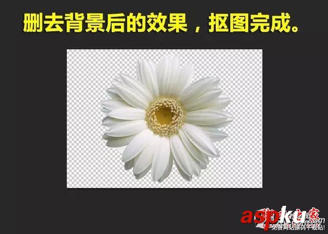 PS新手必看 教你五種快速的摳圖技巧 PS,PS摳圖,PS技巧