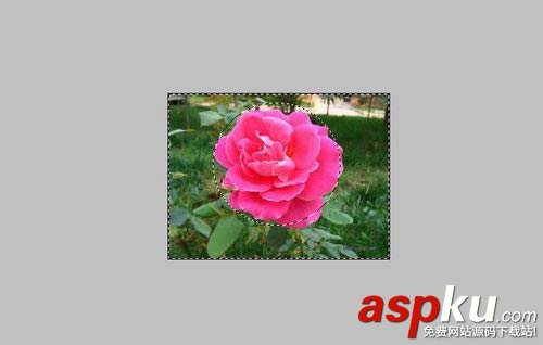 教你用PS刪除圖片背景實(shí)現(xiàn)快速摳圖 PS刪除圖片背景實(shí)現(xiàn)快速摳圖