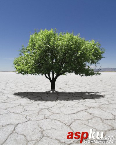 PS快速選擇工具摳圖 PS選擇工具五大摳圖技巧  PS,選擇工具,摳圖