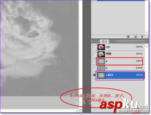 PS怎么用通道摳圖?ps通道摳圖方法圖解 PS怎么用通道摳圖,ps通道摳圖方法