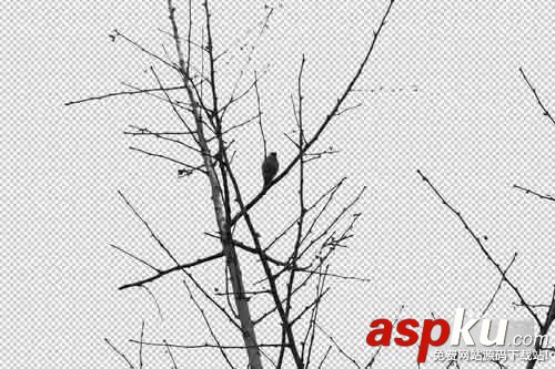 PS利用通道簡單扣樹枝 通道,樹枝