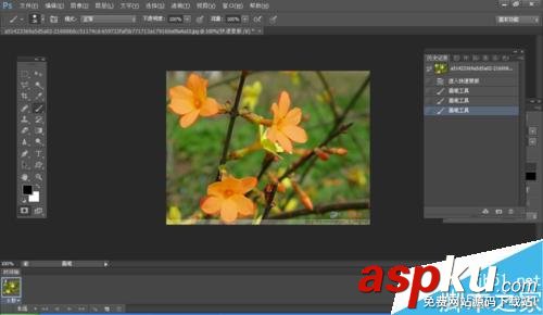 PS,摳圖,快速蒙版