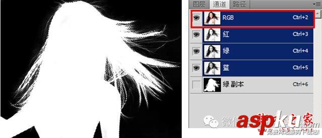 教你如何用通道來快速摳圖的方法 通道,摳圖