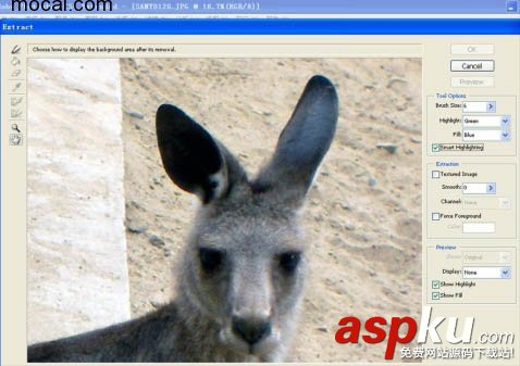 CS4,濾鏡,抽出,摳圖