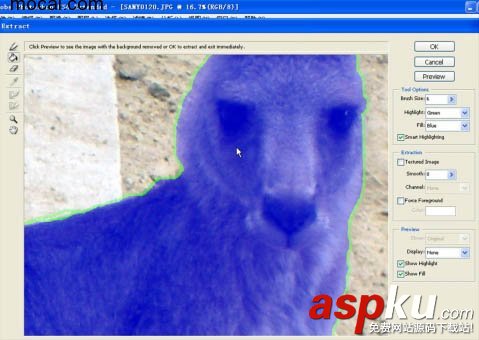 CS4,濾鏡,抽出,摳圖