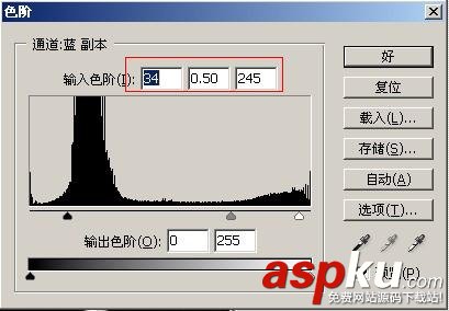 枝葉,樹木,摳圖