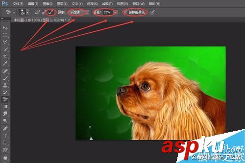 PS6如何完美的摳小動物的毛發 摳圖,動物,毛發,PS6