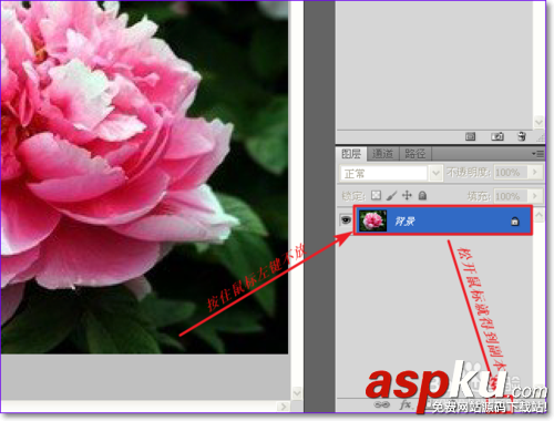 PS怎么用通道摳圖?ps通道摳圖方法圖解 PS怎么用通道摳圖,ps通道摳圖方法