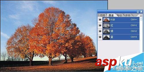 ps通道摳圖實例 把天空換掉 ps,通道,摳圖