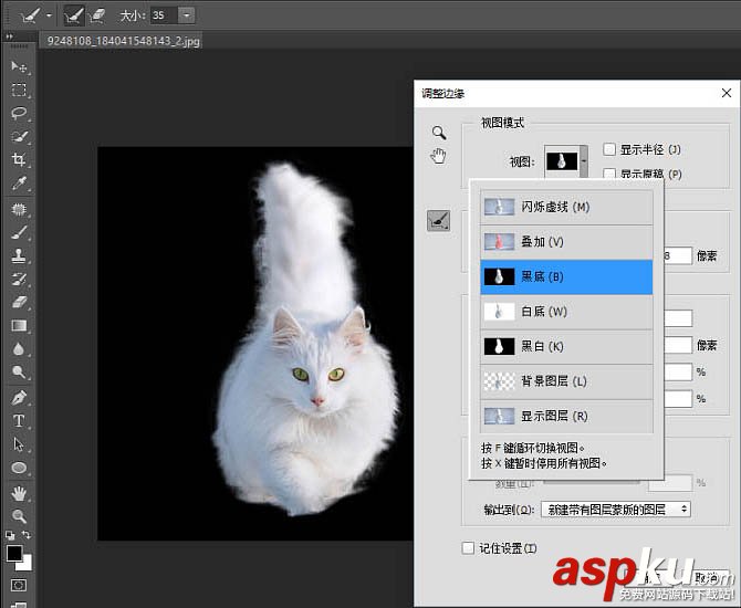 貓,快速蒙版,調整邊緣