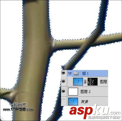 Photoshop摳圖教程:通道和計算命令摳圖實例 photoshop,通道,摳圖