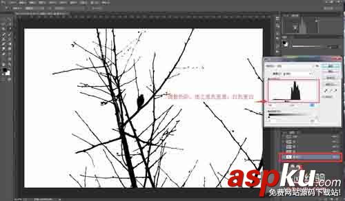 PS利用通道簡單扣樹枝 通道,樹枝