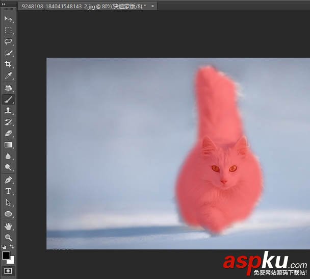 貓,快速蒙版,調整邊緣