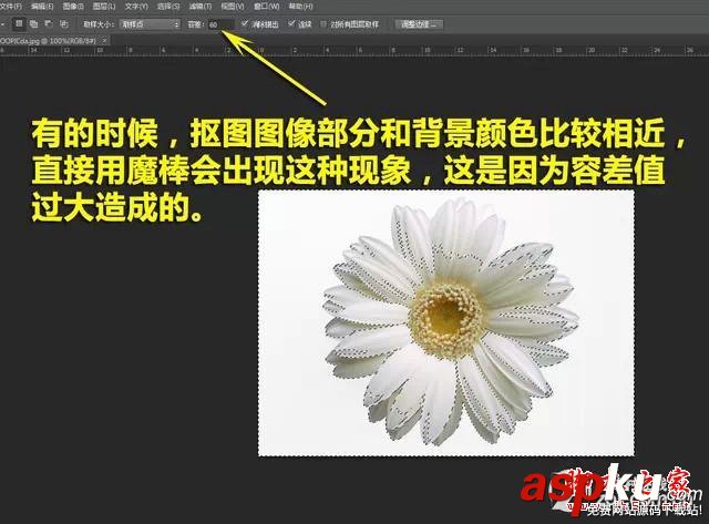 PS新手必看 教你五種快速的摳圖技巧 PS,PS摳圖,PS技巧