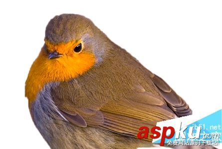 ps利用快速選擇工具和鉛筆工具摳圖換背景教程 ps,快速選擇工具,鉛筆工具,摳圖