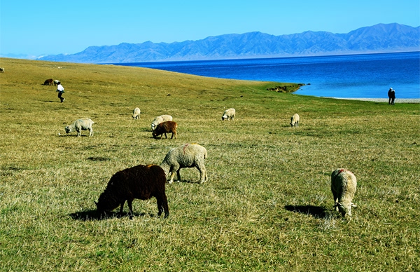 PS的去水印方法(三):內(nèi)容識(shí)別