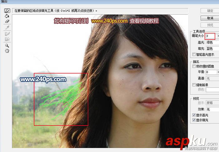 人物,透明,碎發