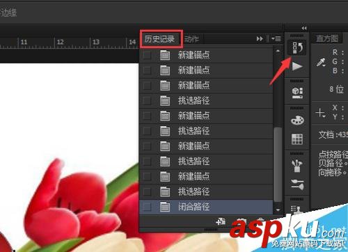 ps怎么用鋼筆工具摳圖? ps,鋼筆工具,摳圖