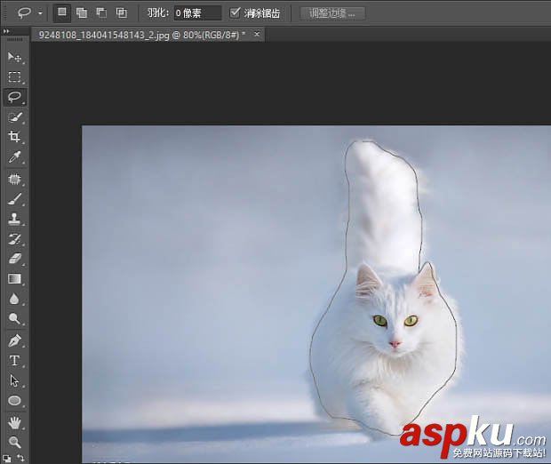 貓,快速蒙版,調整邊緣