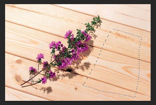 PS的去水印方法(五):移植修圖