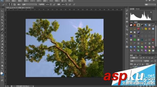 PS利用通道簡單快速地摳出—棵大樹 PS,通道,摳圖
