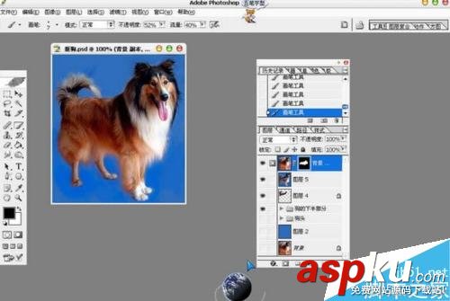 PS摳出圖片中的狗狗 PS,摳圖