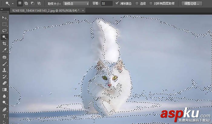 貓,快速蒙版,調整邊緣