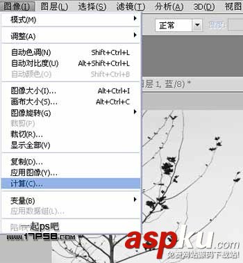 Photoshop摳圖教程:通道和計算命令摳圖實例 photoshop,通道,摳圖