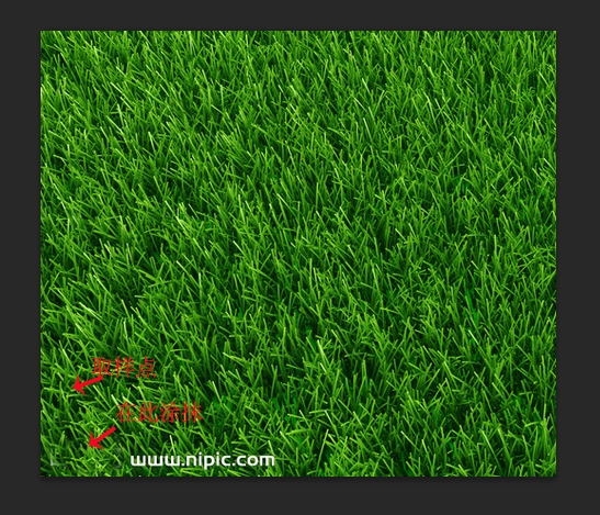 PS的去水印方法(四):仿制圖章工具