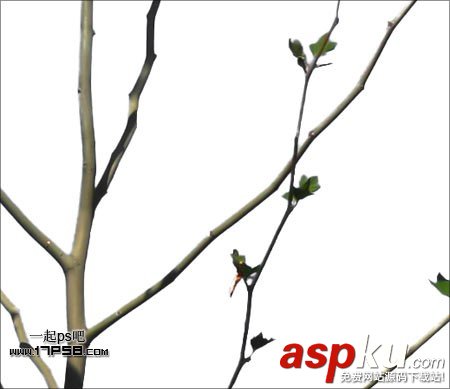 Photoshop摳圖教程:通道和計算命令摳圖實例 photoshop,通道,摳圖