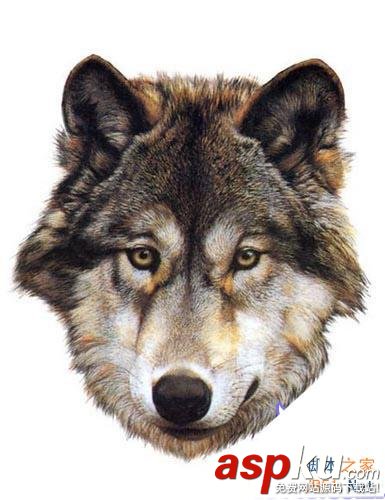 圖文介紹Photoshop另類摳圖方法 Photoshop,摳圖