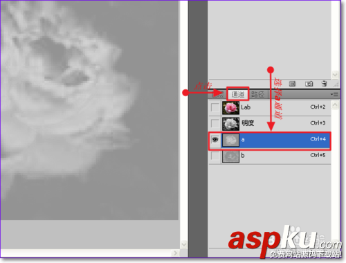 PS怎么用通道摳圖?ps通道摳圖方法圖解 PS怎么用通道摳圖,ps通道摳圖方法