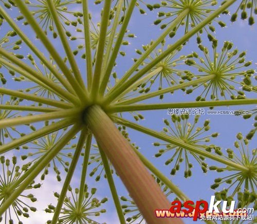 Photoshop摳圖教程:插件Mask pro 4.11摳圖使用介紹(圖文) Photoshop摳圖,Mask,pro,4.11,摳圖