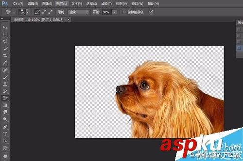 PS6如何完美的摳小動物的毛發 摳圖,動物,毛發,PS6