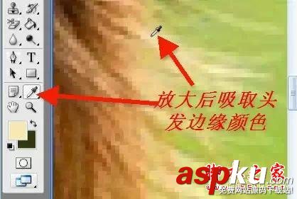 利用橡皮擦進行PS摳圖的方法教程 橡皮擦,PS摳圖