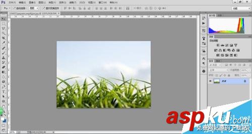 用PS色彩范圍摳凌亂的小草 PS,色彩范圍,摳圖