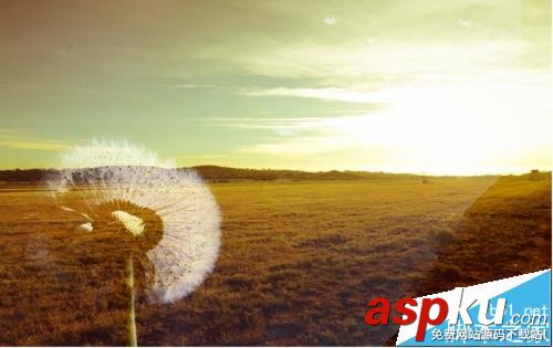 PS怎么扣出蒲公英并換背景? PS,蒲公英