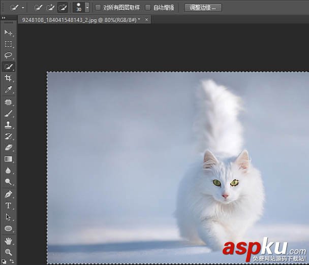 貓,快速蒙版,調整邊緣