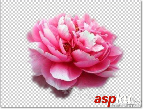 PS怎么用通道摳圖?ps通道摳圖方法圖解 PS怎么用通道摳圖,ps通道摳圖方法