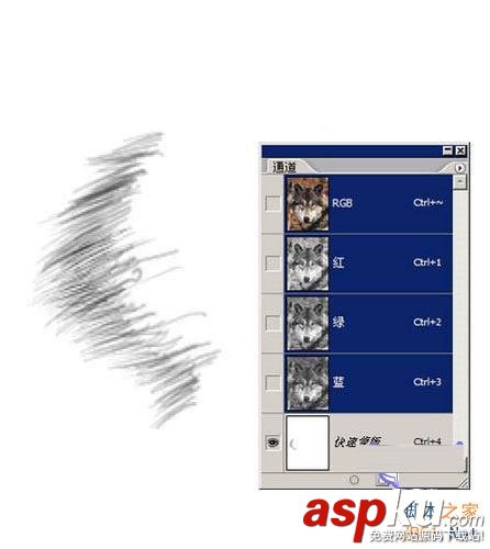 圖文介紹Photoshop另類摳圖方法 Photoshop,摳圖