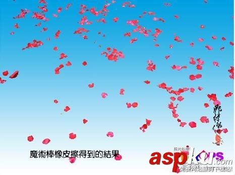 ps大師詳細講解紅花摳圖教程 ps摳圖教程,ps如何摳圖教程,ps怎么摳圖視頻教程