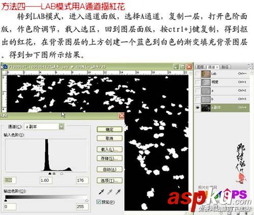 ps大師詳細講解紅花摳圖教程 ps摳圖教程,ps如何摳圖教程,ps怎么摳圖視頻教程