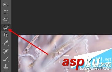 ps利用快速選擇工具和鉛筆工具摳圖換背景教程 ps,快速選擇工具,鉛筆工具,摳圖